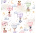 HOT AIR BALLOONS