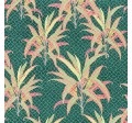 CORDYLINE