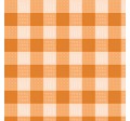 WILD WEST GINGHAM