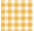 WILD WEST GINGHAM