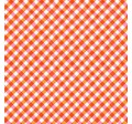 AUTUMN GINGHAM