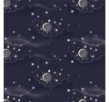MOONSKY
