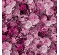 DUTCH MASTER FLORAL