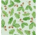LITTLE ACORNS