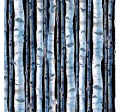 BIRCHES