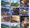 NORTH COUNTRY PANEL - 36" REPEAT