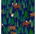 ALASKA MOUNTAIN