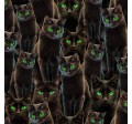 HALLOWEEN CATS