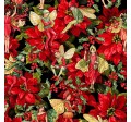 WINTER FAIRY POINSETTIA