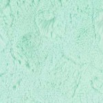 Bella Mint Bella Mint