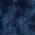 Bella Navy Bella Navy