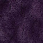 Bella Plum Bella Plum