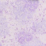 Fairy Frost (pearlized metallic)