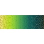 OMBRE BORDER
