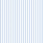 DELICATE STRIPE