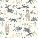 MOOSE AND FRIENDS