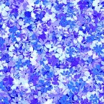 PETITE BLOSSOMS