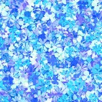 PETITE BLOSSOMS