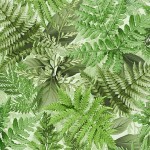 FERN FROLIC