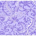 FANTASY PAISLEY