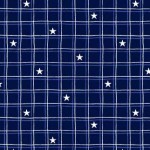 CHECKERED