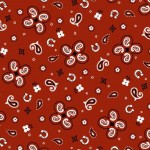 VINTAGE BANDANA