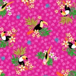 TOCO TOUCAN