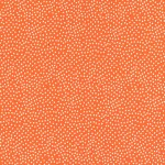 GARDEN PINDOT