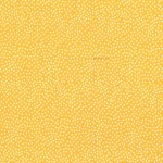 GARDEN PINDOT