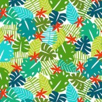 COLORFUL LEAVES