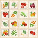 VEGETABLE CHART