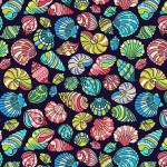 BEACH SHELLS