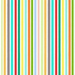 EXPLORER STRIPE