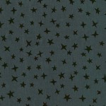 STARGAZER