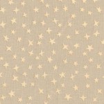 STARGAZER