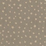 STARGAZER