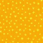 STARGAZER