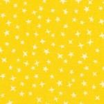 STARGAZER