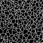 CRACKED EARTH