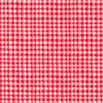 GINGHAM PLAY