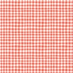 GINGHAM PLAY