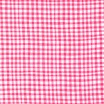 GINGHAM PLAY