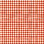 GINGHAM PLAY