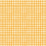 GINGHAM PLAY