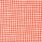 GINGHAM PLAY