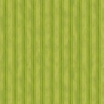 ELEGANT STRIPE