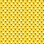 FANCY SQUARES
