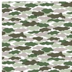 CAMO - NOT FOR PURCHASE BY MANUFACTURERS