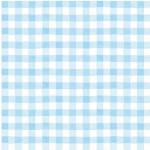 ICY GINGHAM