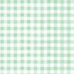 ICY GINGHAM